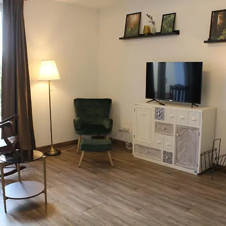 Schwarzwaelder Tierplaetzchen - Terrasse Und Parkplatz Apartment