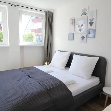 Schwarzwaelder Tierplaetzchen - Terrasse Und Parkplatz Hoechenschwand