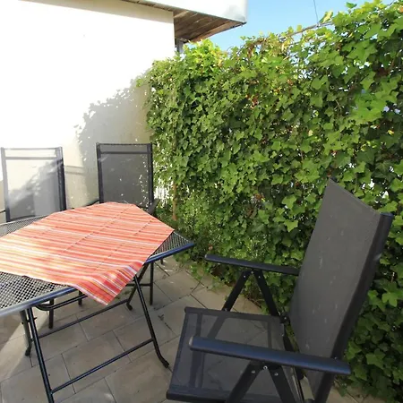 Schwarzwaelder Tierplaetzchen - Terrasse Und Parkplatz Apartment Hoechenschwand